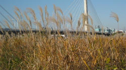 IMG_2592.jpg