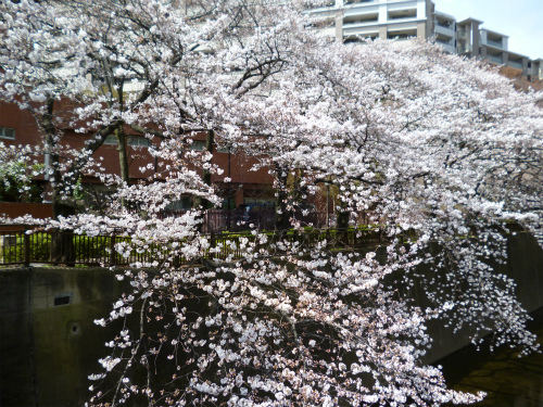 P1000865.jpg