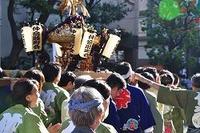 氷川神社例祭「おみこし担ぎました！」
